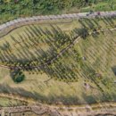 파크골프장2 이미지