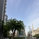 명덕역 5번출구 교통섬 | [부동산/구로구] "구로두산아파트" "구로두산위브" "구로현대아파트" 임장하기 (feat.남구로역)