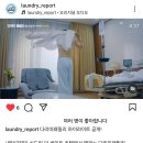 정현세탁 Daum카페