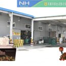 대저토마토산지유통센터 이미지