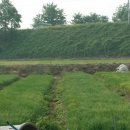 천풍농장 이미지