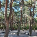 솔바다캠핑장 이미지