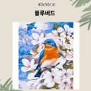 유화A 이미지