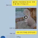 가정애견하우스 이미지