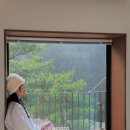 양평 감성숙소 STAY246 숙박후기