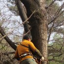 회원동126 이미지