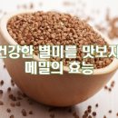 메밀꽃 진 무렵 맛보는 봉평, 메밀의 효능 이미지