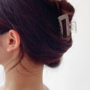레비