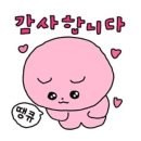 여우가머리하는날 이미지