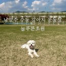늘푸른초원