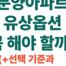 서울원 분양 아파트 유상옵션계약 후기(+신축입주 후 하자처리 찐경험담 )