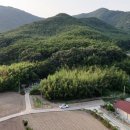 석포축사 이미지