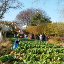 사창농장 이미지