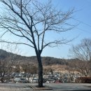 한마당 | 경기도 광주 남한산성 상견례 하기 좋은 곳, 한마당 후기와 결제꿀팁