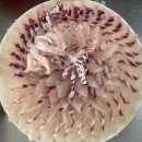 광어횟집 이미지