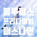 그 레벨에 잠이오니 | 🐬 숨참고 Dive! 경북 칠곡 북삼 패스나인 다이빙 수영장 첫 방문 &amp; 블루피스 프리다이빙 레벨1 후기!