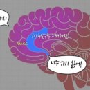 케이타이거즈태권도장 - 화성시 지산1길 8-5 | 케이타이거즈태권도장