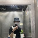 금전수 분갈이 후기(리에즈블룸 )