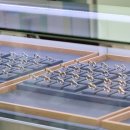 웨딩스쿨결혼전문영남 | 커플링, 웨딩링 리뷰 많기로 유명한! 여기 가보세요