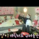 분홍고양이 이미지