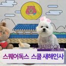 스퀘어독스 롯데남악점 네이버블로그
