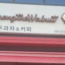 어몽더월넛 이미지
