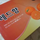 감따남 이미지