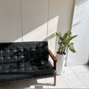 에벤에셀헤어 이미지