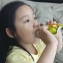 우리아이를 위한 안전한 먹거리~ 자연마을 마시는 밀감젤!!