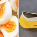 화이트디자인