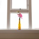 창문당