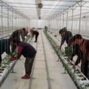 세종창조경제혁신센터 이미지