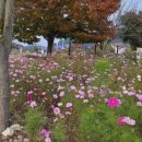 멍스클럽 이미지