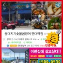등대지기꼼장어 이미지