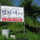 소번식경영아카데미 이미지