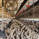 전남축산 이미지