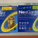 천안터미널 동물약국 이미지