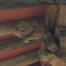 불영계곡1전망대 이미지