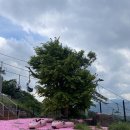 루지민박 이미지