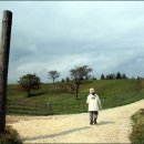 성화목장 이미지