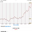 11500-19-26-19 이미지