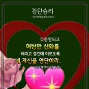샬롬 Daum카페