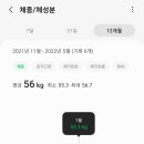 버드플라잉요가