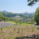 보발농장 | 단양 구인사 보발전망대근처 주말쉼터자리 497㎡ (150)매매 2,300만