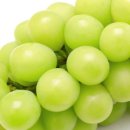 과일마켓 이미지