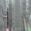 귀건축사 이미지