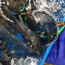 회타운 | 광안리 횟집 추천 울타리상회 광안리 회 포장 민락회타운 후기