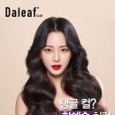 달크림 이미지