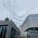 제주천지인용인대태권도 | 생활스포츠지도사 보디빌딩 중앙대학교 연수 현장실습 후기
