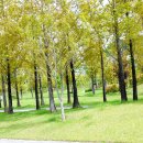 봉천마을회관 이미지